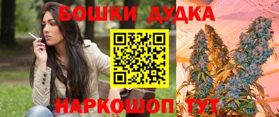 прущие крисы Будённовск