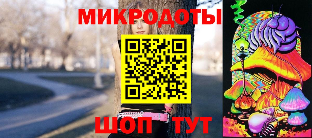 Сунжа  Псилоцибиновые грибы MAGIC MUSHROOMS  Вход с VPN 