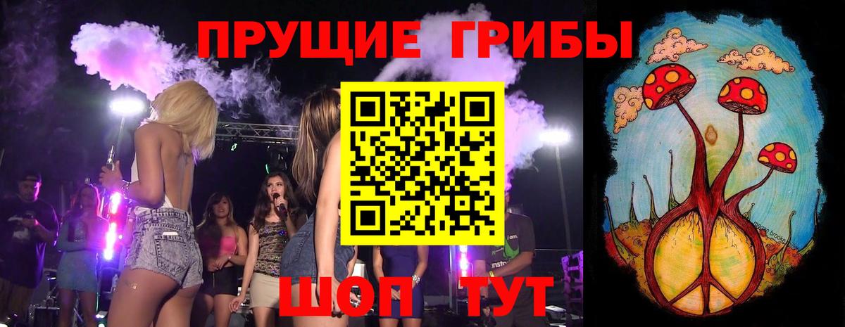 Псилоцибиновые грибы Psilocybine cubensis Сунжа