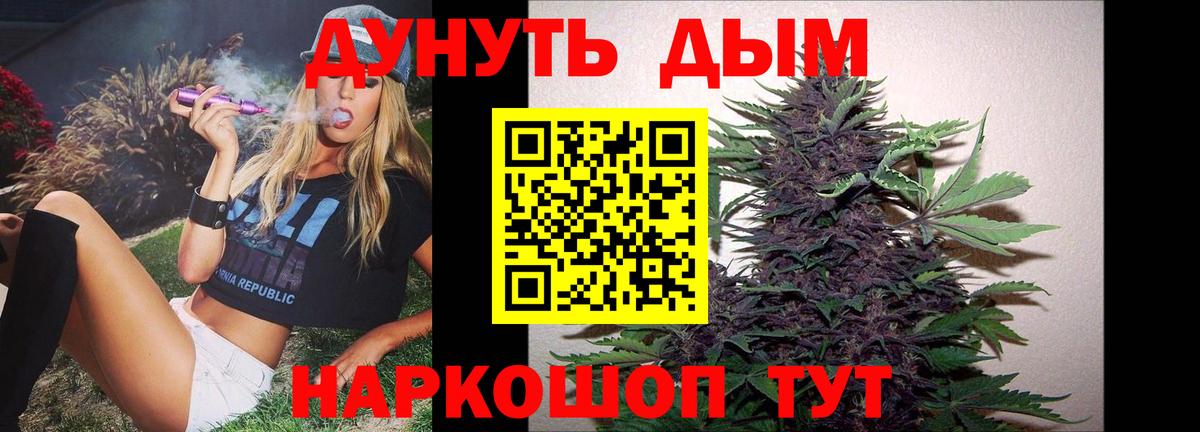Каннабис план Сунжа